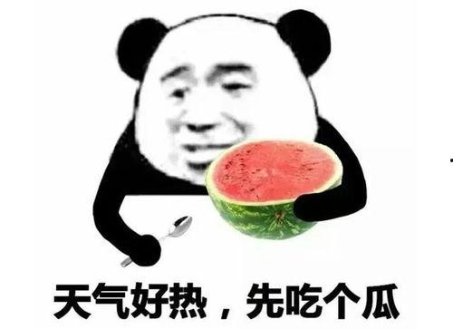 表情吃瓜是啥意思