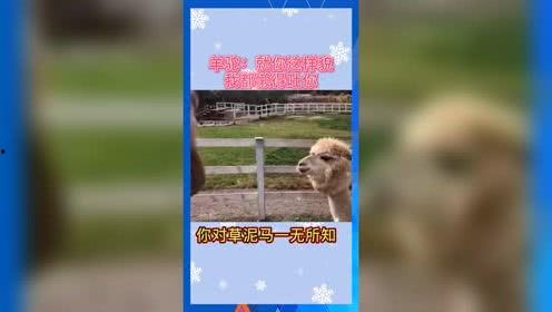 娱乐吃瓜的本质是啥